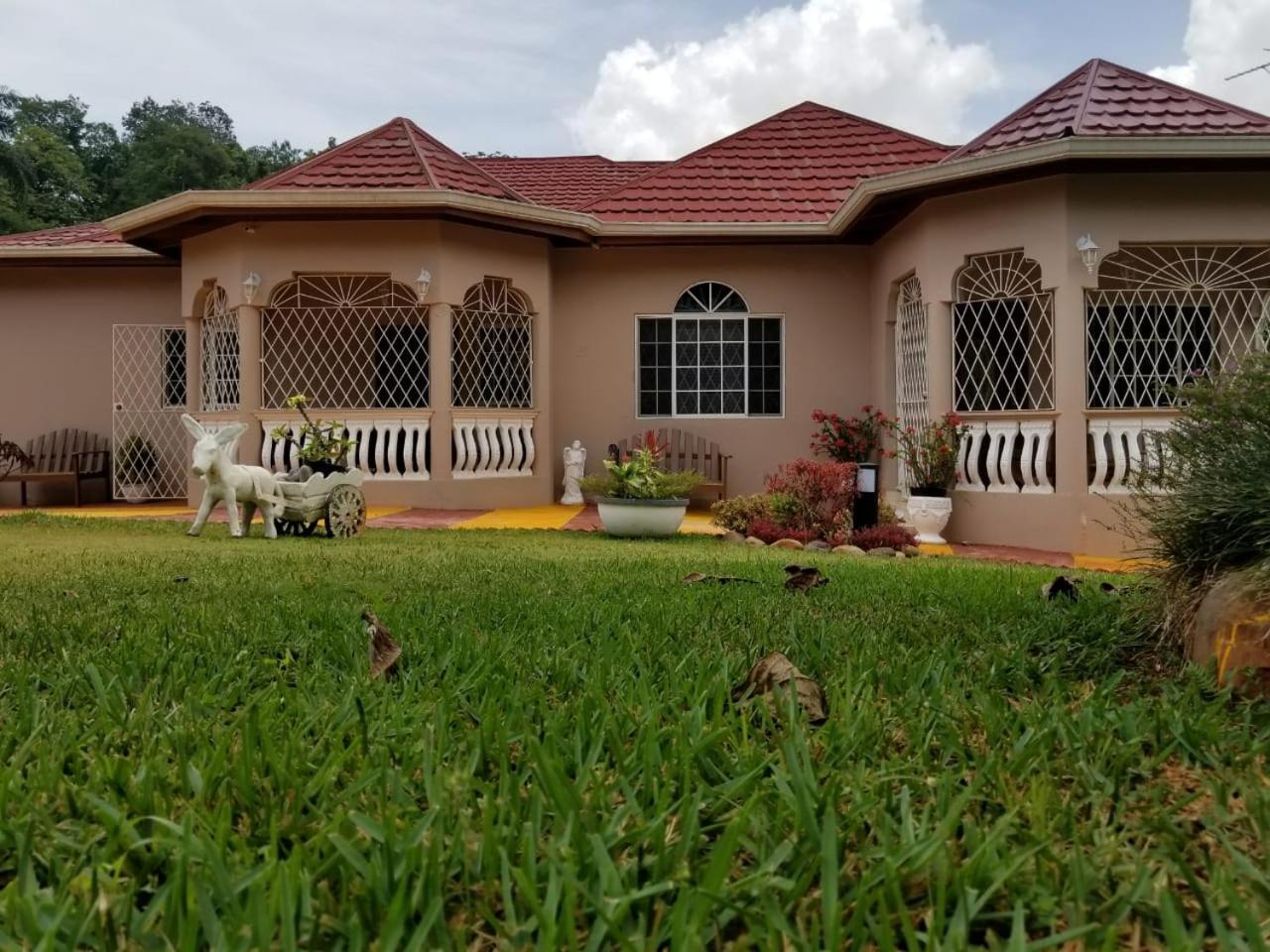 Cliffe Ranch Vila Mandeville Exterior foto