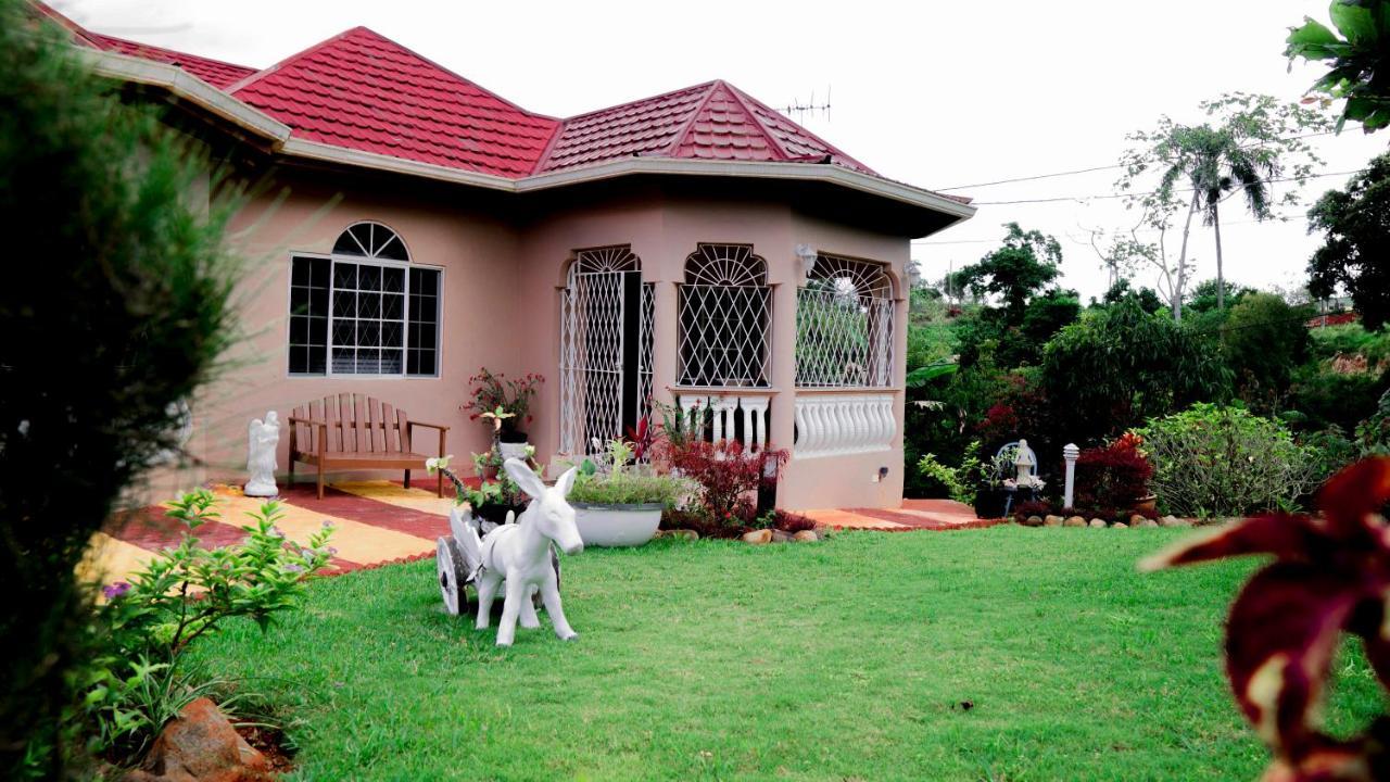 Cliffe Ranch Vila Mandeville Exterior foto
