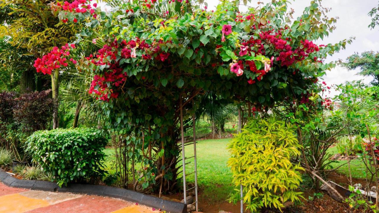 Cliffe Ranch Vila Mandeville Exterior foto